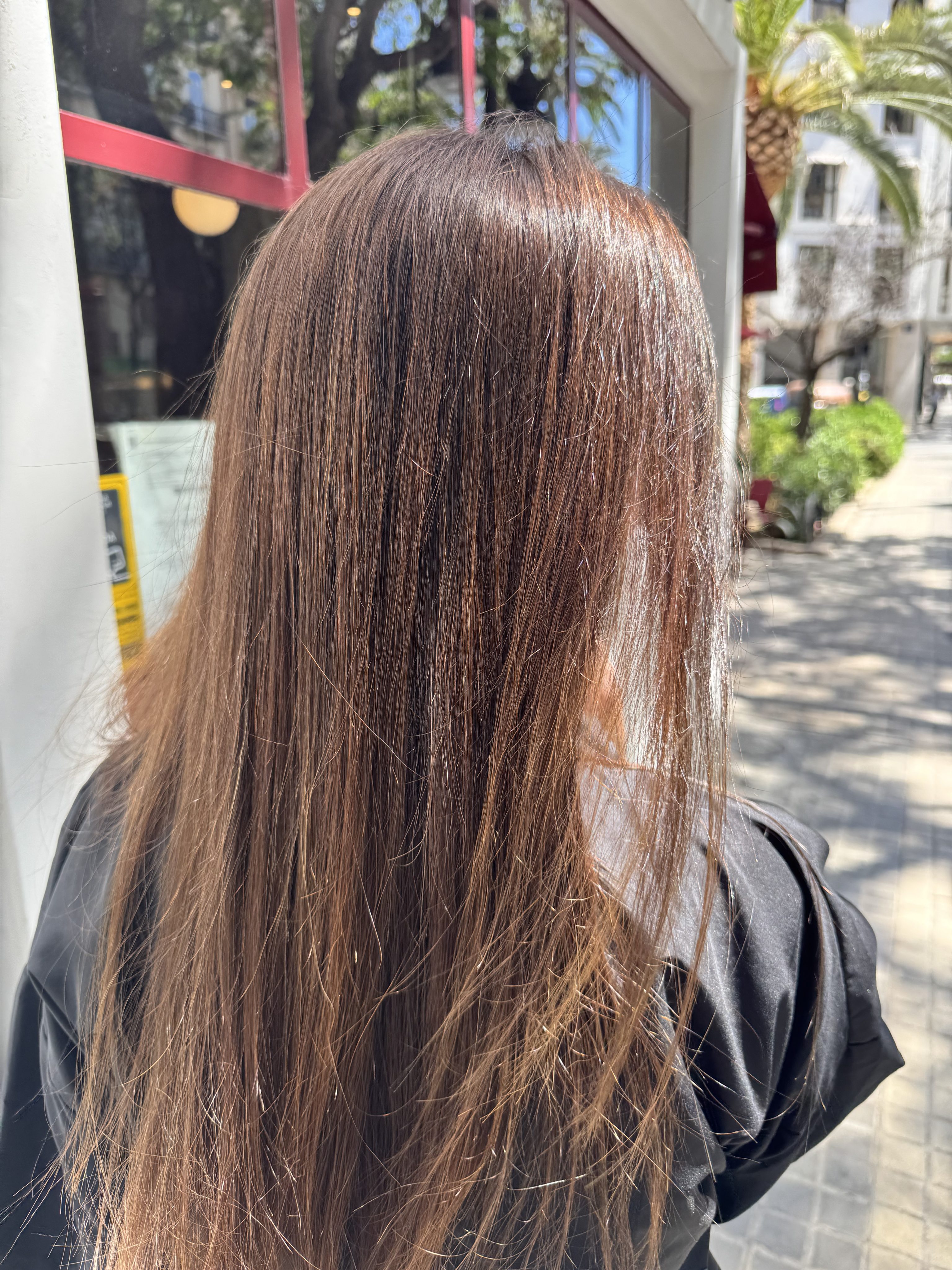BARROS Y ÓLEOS: COLORACIÓN Y NUTRICIÓN NATURAL DEL CABELLO