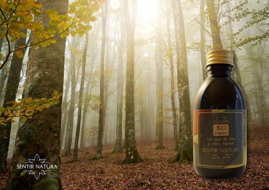óleos capilares naturales para nutrición y brillo del cabello en Valencia
