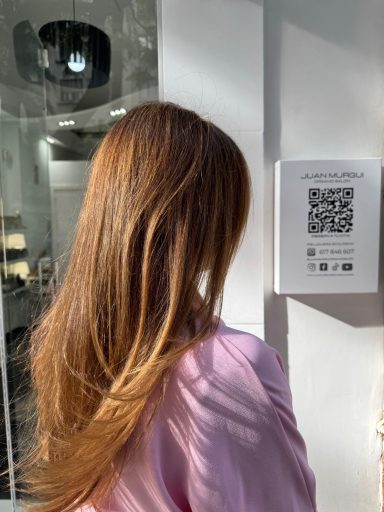 Resultado del alisado ecológico en Valencia resultado de alisado ecológico sin formol cabello liso natural brillante Valencia